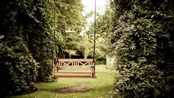 Tuin